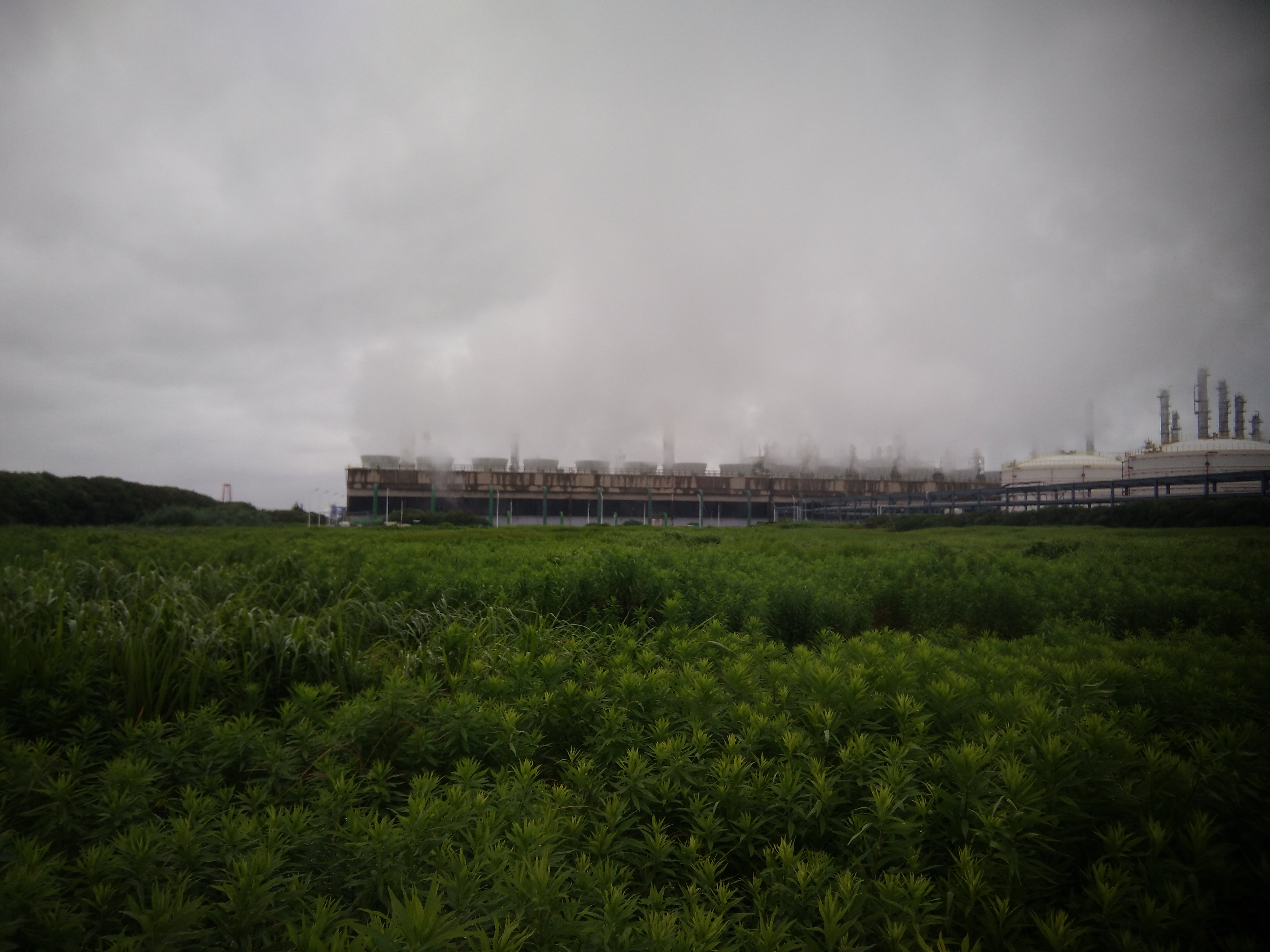 1728624992591.jpg 西面循環(huán)水場.jpg